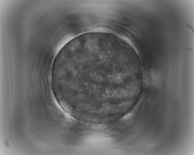 X0000100881007200807071122