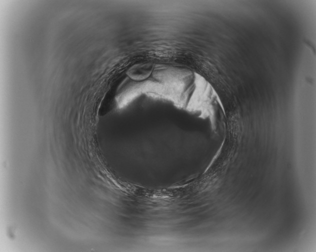 X0000100881009200807071121