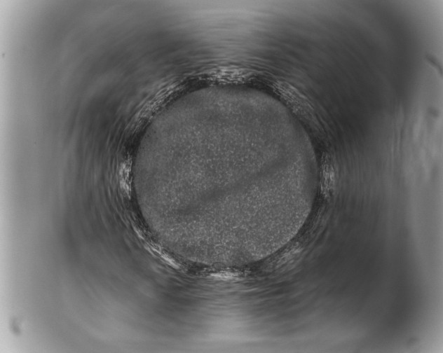 X0000100881010200807071121