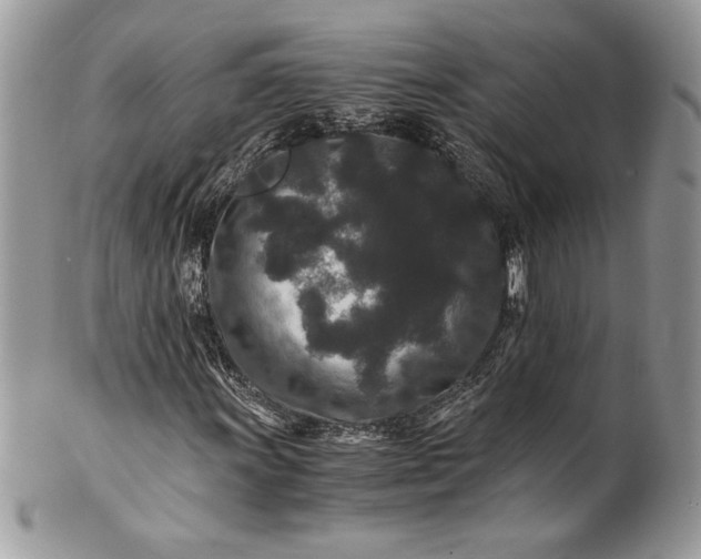 X0000100881011200807071121