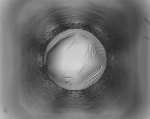 X0000100881013200807071121