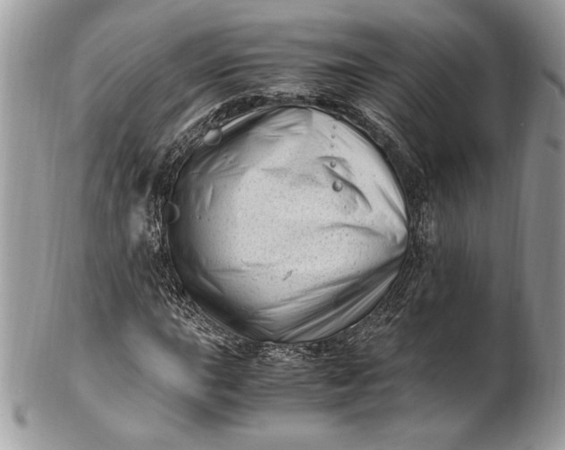 X0000100881015200807071121