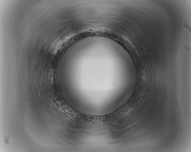 X0000100881016200807071121