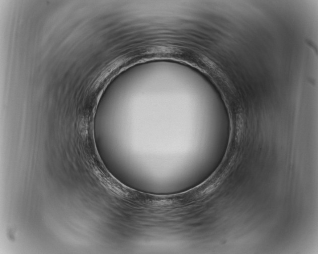 X0000100881017200807071121