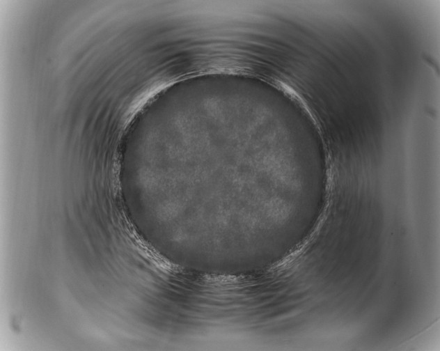 X0000100881019200807071121