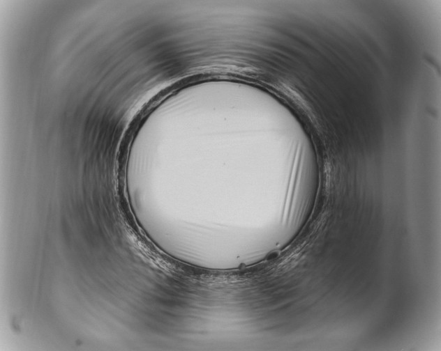 X0000100881020200807071121