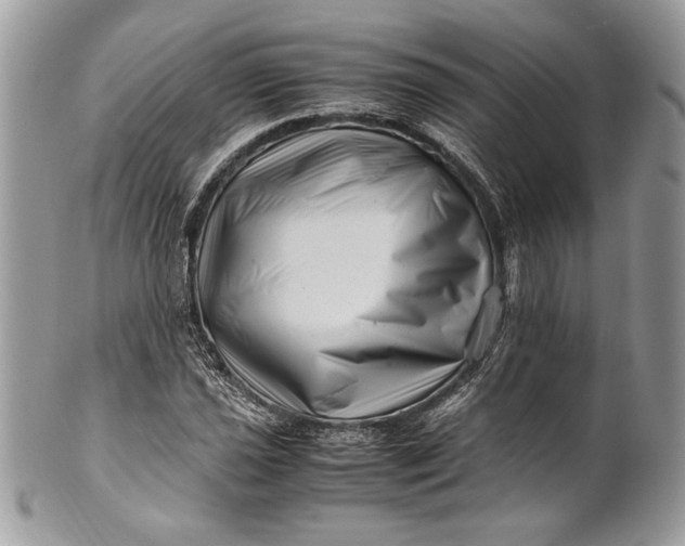 X0000100881021200807071121