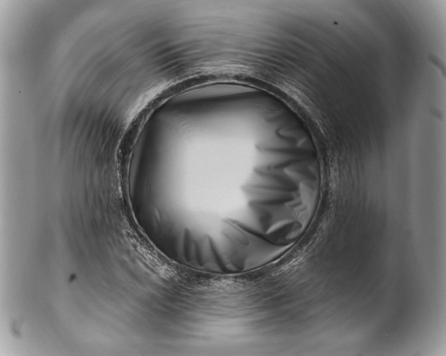 X0000100881022200807071121