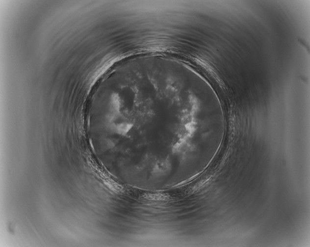 X0000100881023200807071121