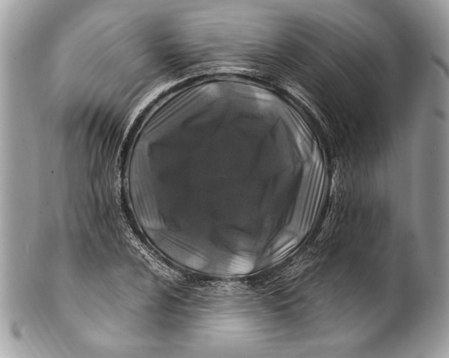 X0000100881024200807071121