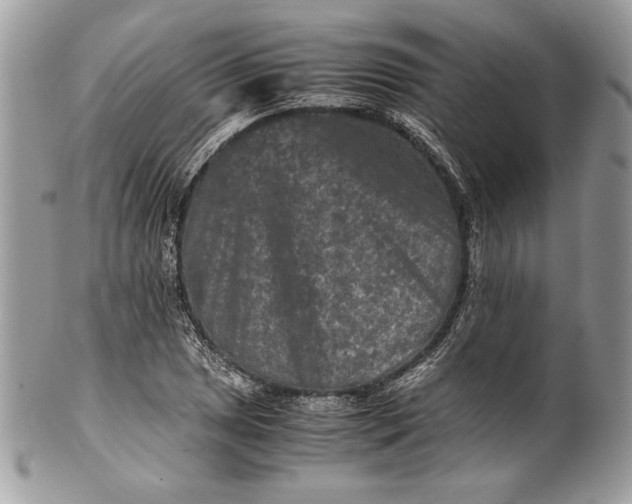 X0000100881025200807071121