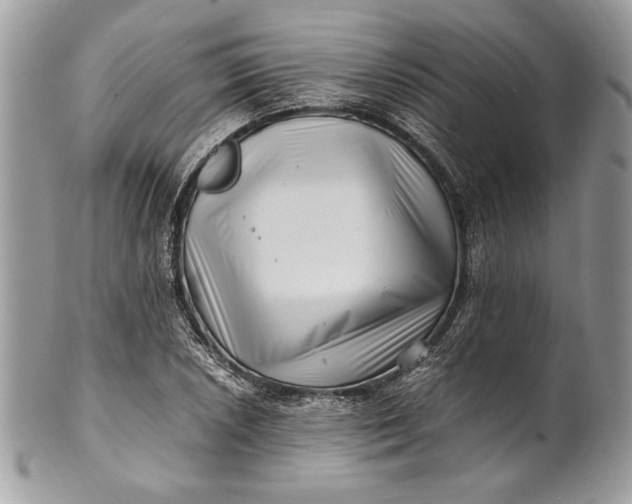 X0000100881026200807071121