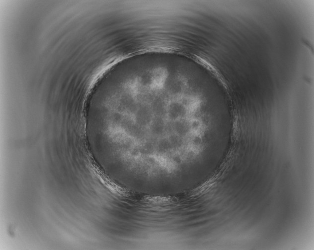 X0000100881027200807071121