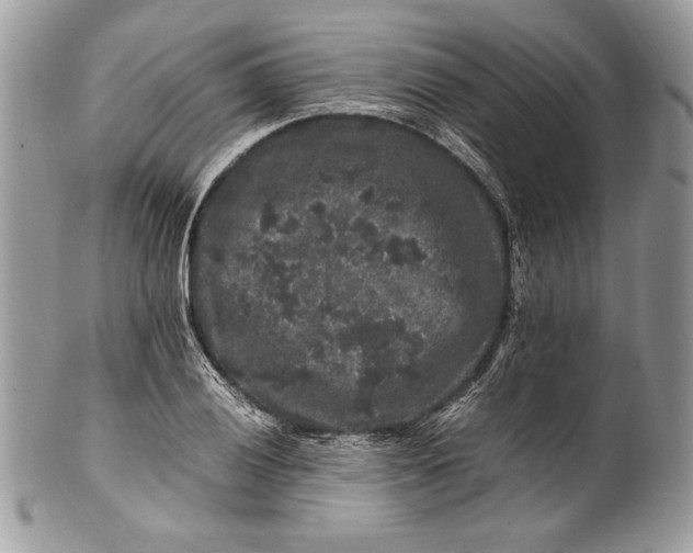 X0000100881028200807071121