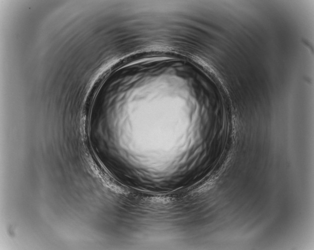 X0000100881029200807071121