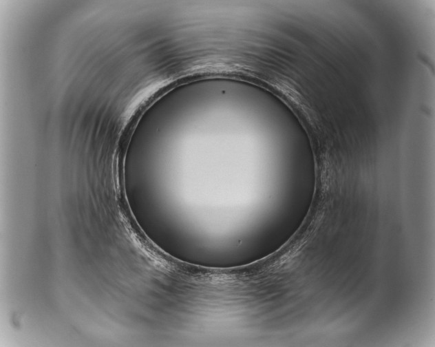 X0000100881030200807071121