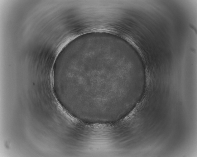 X0000100881032200807071121