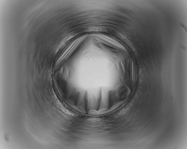 X0000100881033200807071121