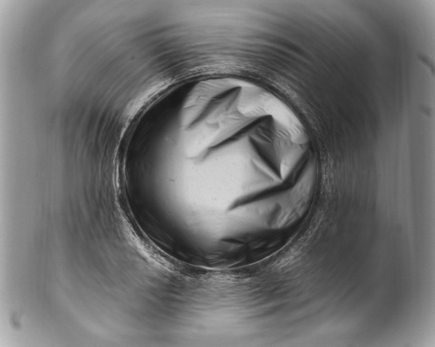 X0000100881034200807071121