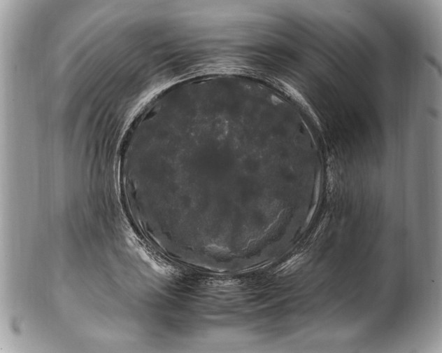 X0000100881035200807071121