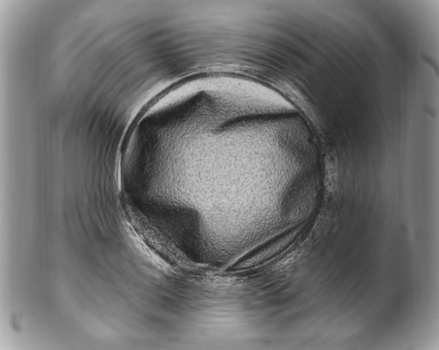 X0000100881036200807071121