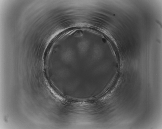 X0000100881037200807071121