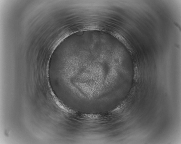 X0000100881039200807071121