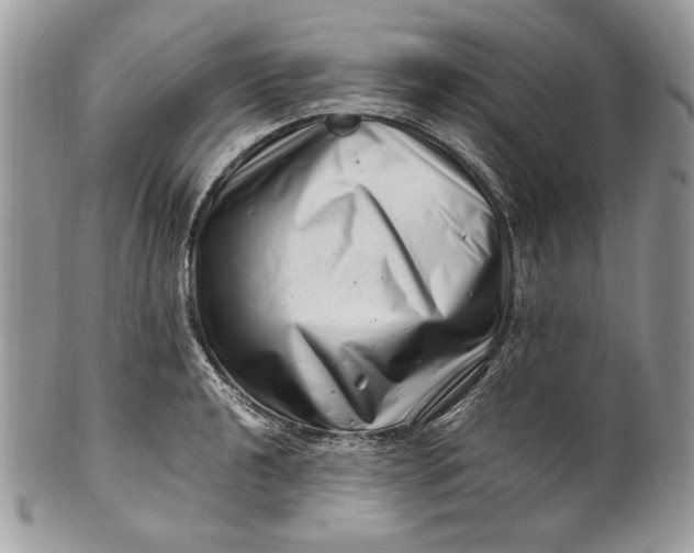 X0000100881040200807071121