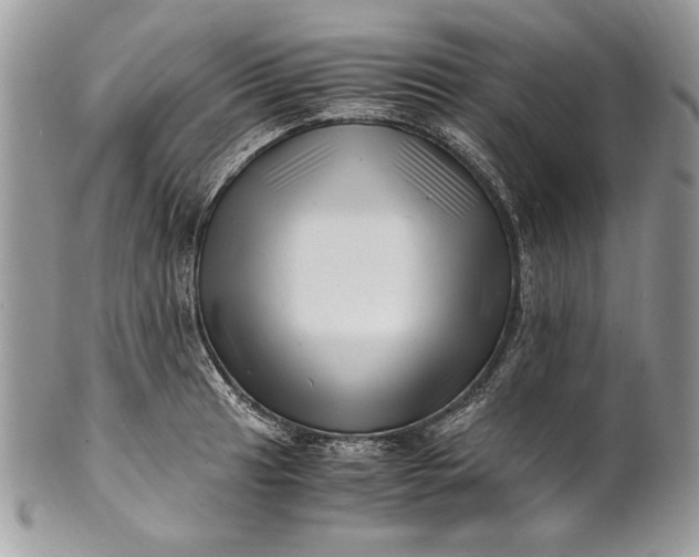 X0000100881041200807071121