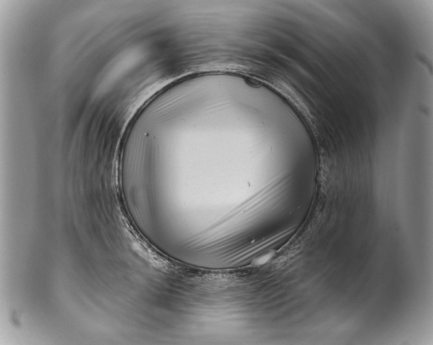 X0000100881044200807071122