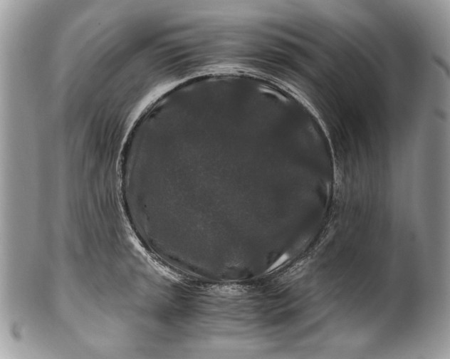 X0000100881045200807071122