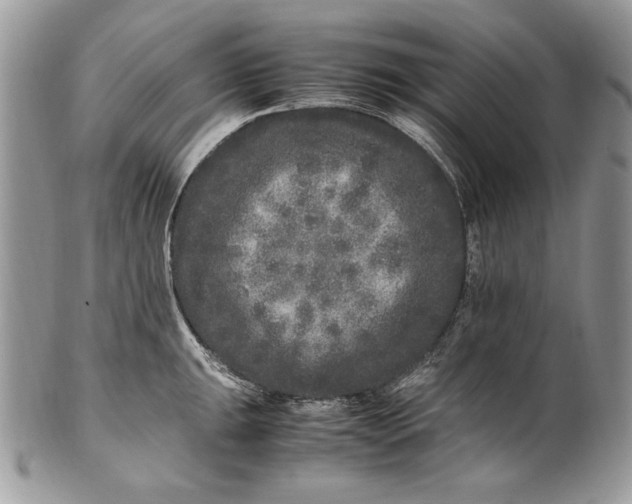 X0000100881047200807071122