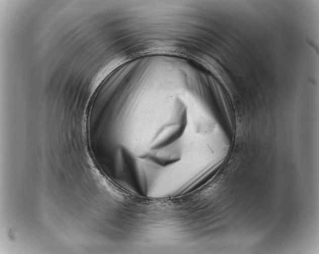 X0000100881050200807071122