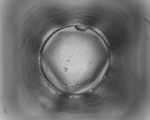 X0000100881051200807071122