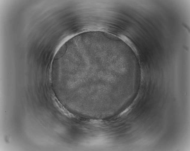 X0000100881052200807071122