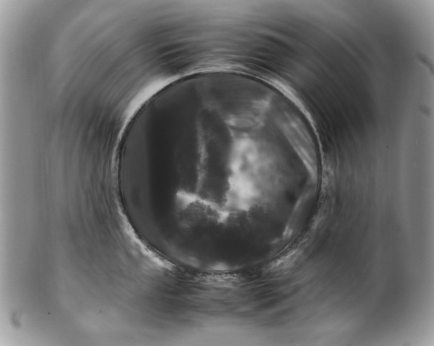 X0000100881053200807071122