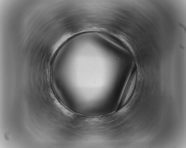 X0000100881054200807071122