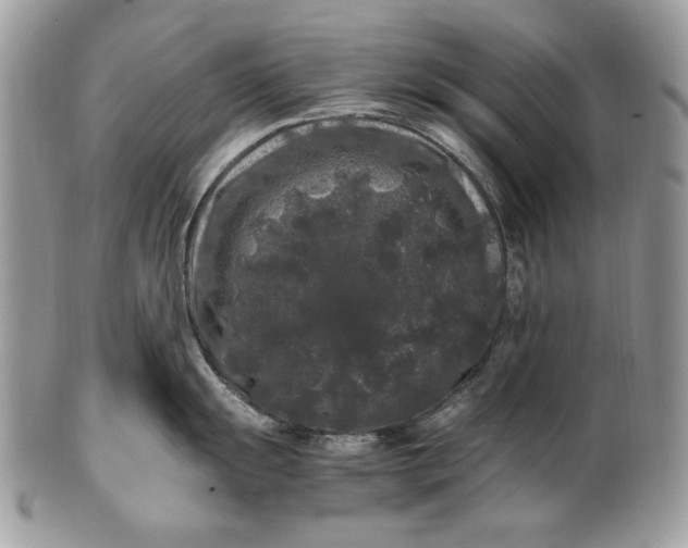 X0000100881055200807071122