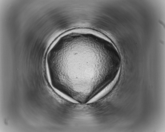 X0000100881056200807071122