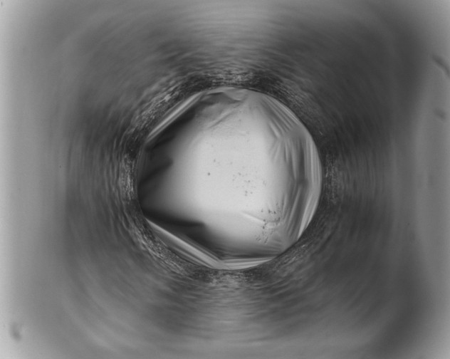 X0000100881058200807071121