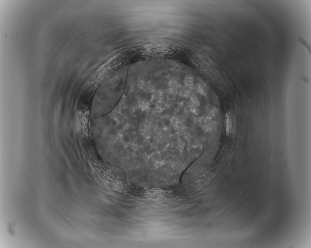 X0000100881059200807071121