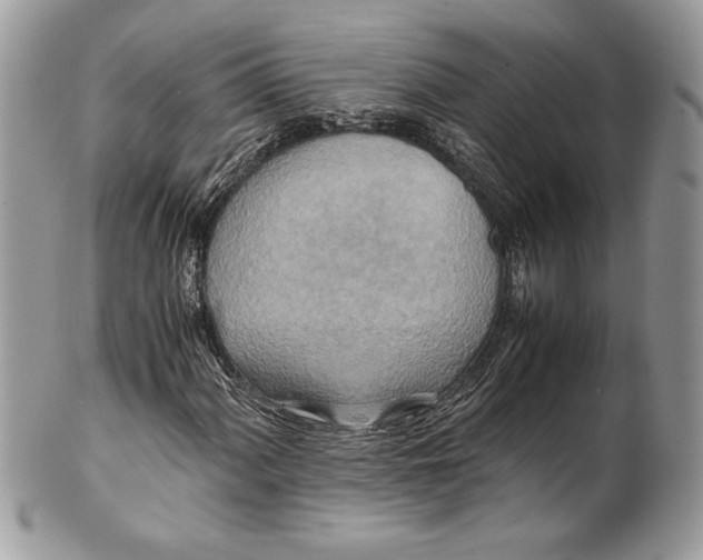 X0000100881060200807071121