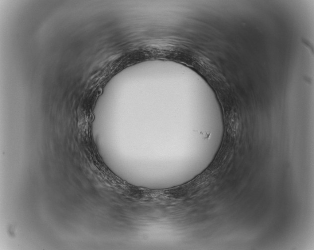 X0000100881061200807071121