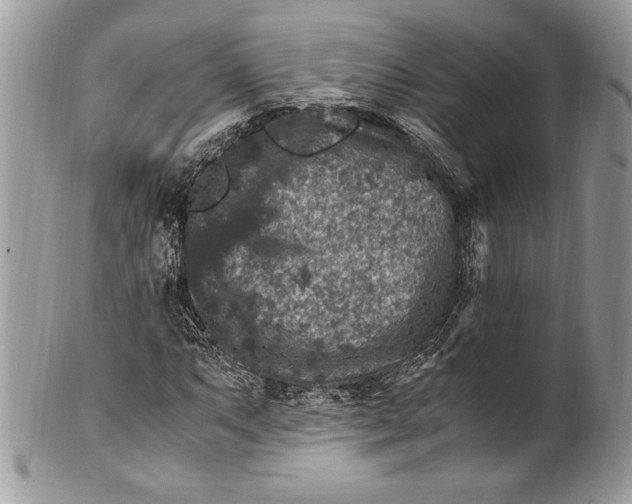 X0000100881063200807071121