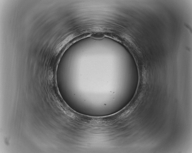 X0000100881065200807071121