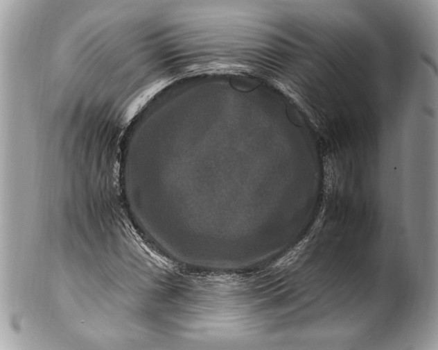 X0000100881066200807071121