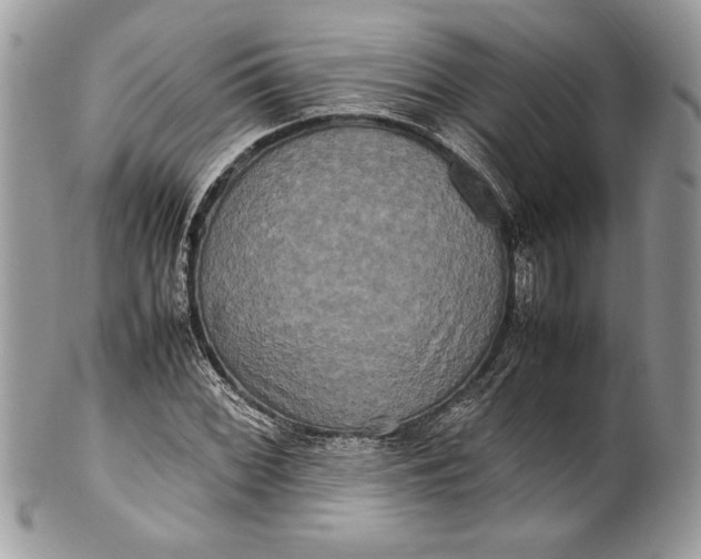 X0000100881068200807071121