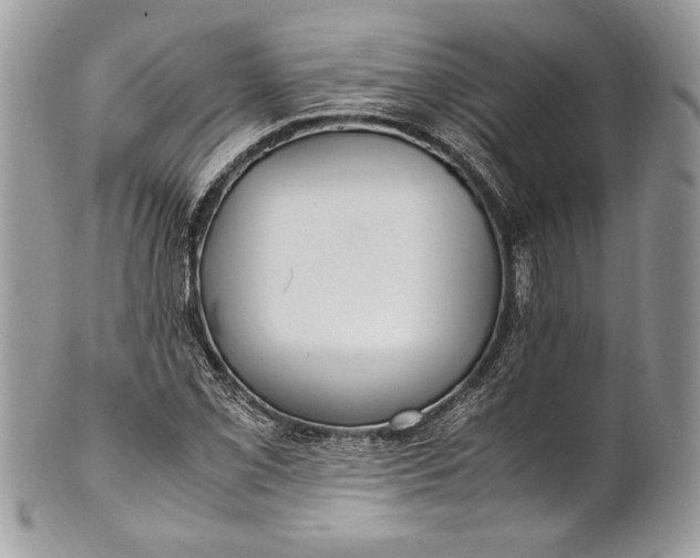 X0000100881069200807071121