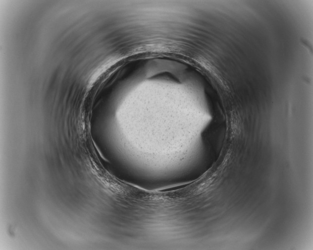 X0000100881070200807071121