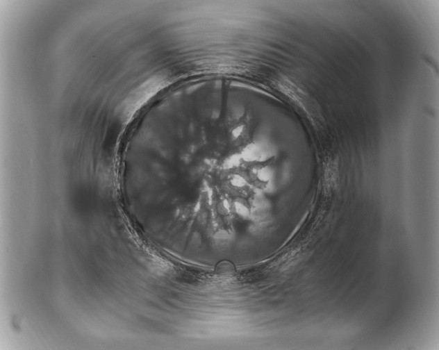 X0000100881071200807071121